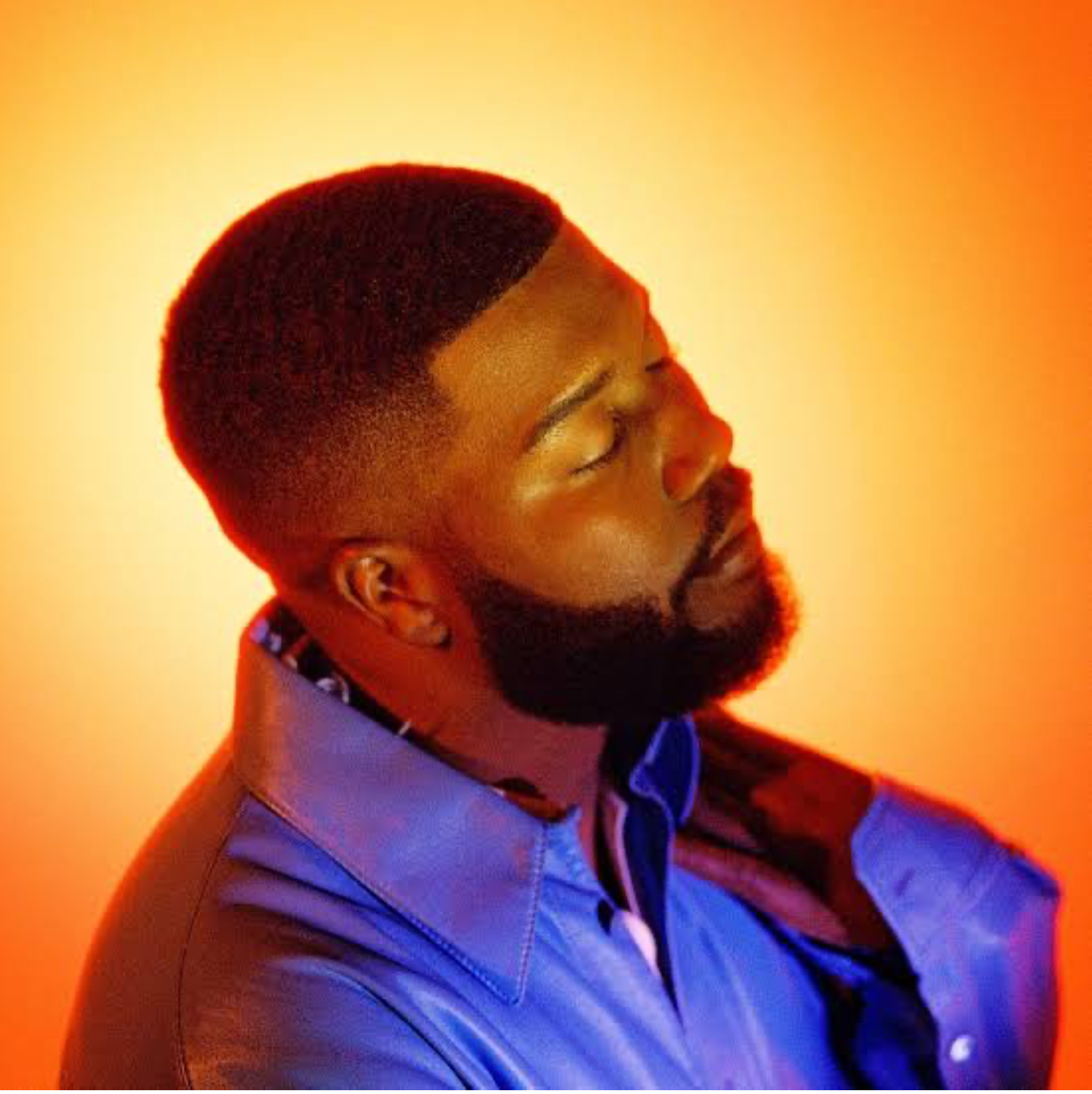 This is a photo of the team logo, a toucan.